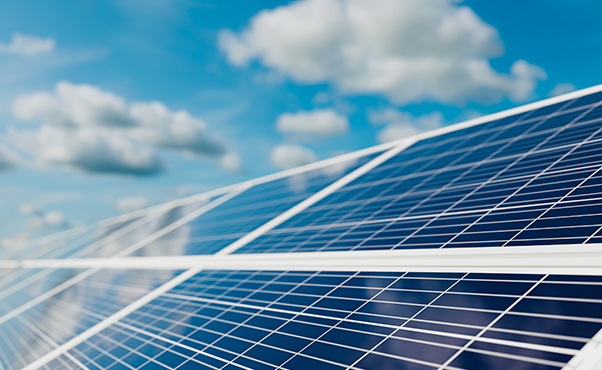 新日光子公司永旺能源太陽能農棚啓用典禮