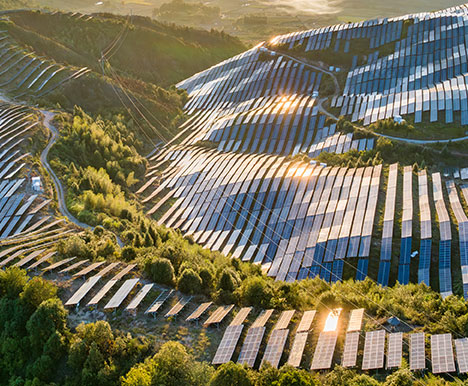 Agriculture and Fishery